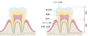 東京　八重洲　矯正歯科